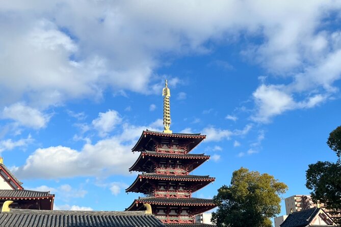 Full Day Walking Tour in Osaka Castle Temples and Ukiyoe - Price and value: $165 for a full-day package