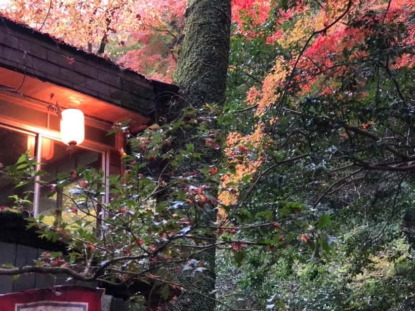 Get to know Minoo from Osaka. Katsuoji Temple, Ryuanji Waterfall and Ryuanji Temple - Ryuanji Temple and the Waterfall Connection You Might Otherwise Miss