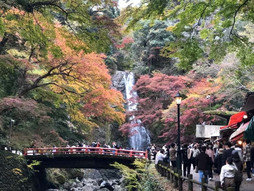 Get to know Minoo from Osaka. Katsuoji Temple, Ryuanji Waterfall and Ryuanji Temple - The Katsuoji Guided Time: What You Gain in About Two Hours