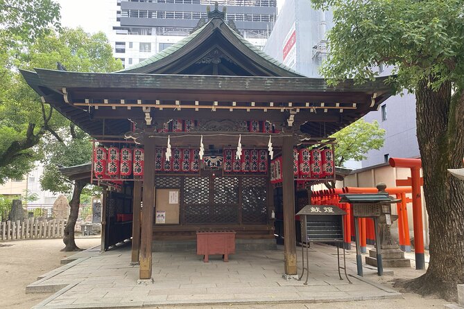Guided Tour of Some Attractions in Osaka by Private Car - Why This Osaka Day Tour Feels Smart
