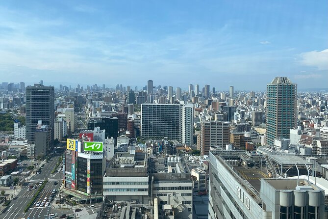 Guided Tour of Some Attractions in Osaka by Private Car - The 9:00am Route, and How the Time Adds Up