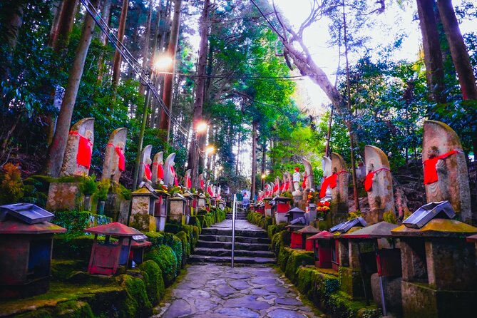 Hidden Gems of Osaka Kyoto Nara - Private Car Tour by Local Guide - Daiki and the value of a guide who can explain what you are seeing