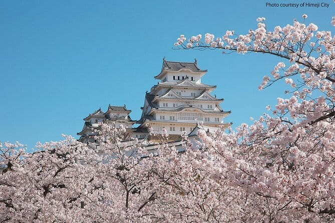 Himeji Castle and Akashi Kaikyo Bridge Walking Tour from Osaka - How the day actually feels: pace, walking, and staying together