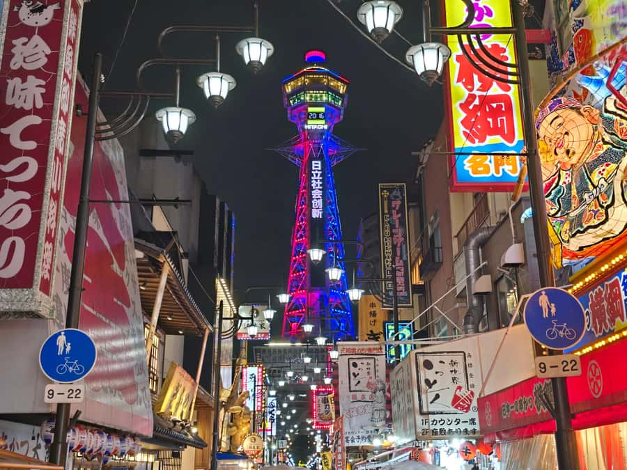 Hungry Osaka Street Food Tour: 15 Dishes & 3 Drinks - Stop 2: karaage, Osaka-style fried chicken that stays crispy