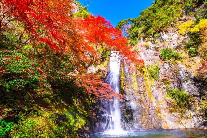 Katsuo-ji Temple, Arashiyama Forest, & Nara Park - How guided it really feels, and how to get value anyway