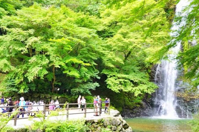 Katsuo-ji Temple, Arashiyama Forest, & Nara Park - Price and value: $91.65 for three iconic stops