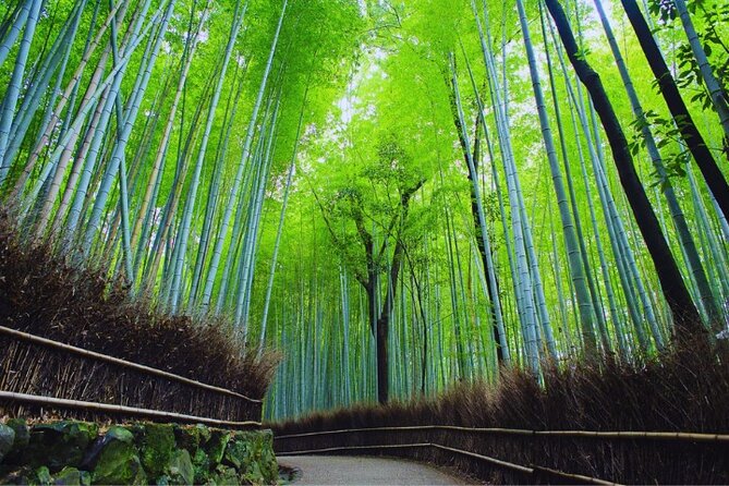 Katsuo-ji Temple, Arashiyama Forest, & Nara Park - Mobile ticket and meeting point, the small things that prevent stress