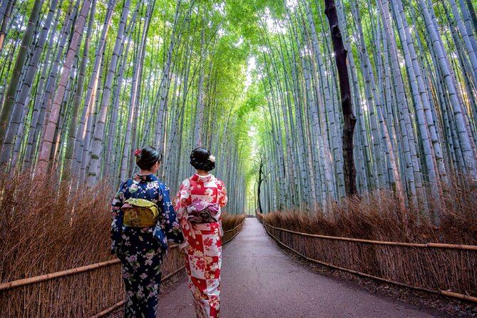 Katsuo-ji Temple, Arashiyama Forest, & Nara Park - The one booking thing to double-check: kimono add-ons