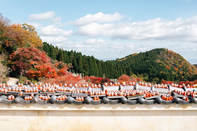 Katsuo-ji Temple, Arashiyama Forest, & Nara Park - Arashiyama Bamboo Grove, the 90-minute walk that resets your senses