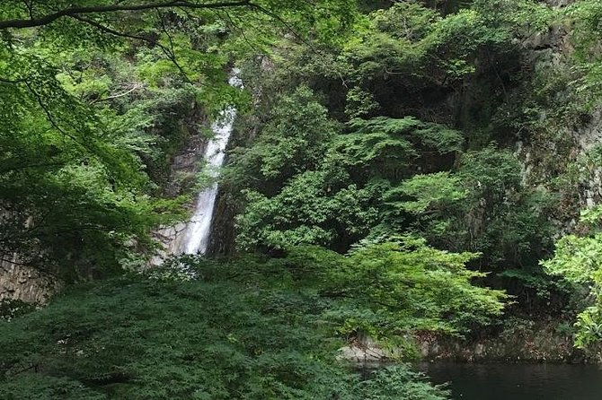 Kobe private tour from Osaka (Shore excursion available from Osaka or Kobe port) - Price and logistics: is $195.96 good value for a private day?