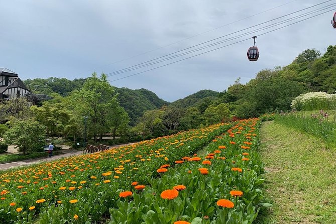Kobe private tour from Osaka (Shore excursion available from Osaka or Kobe port) - What the best guides do with this day
