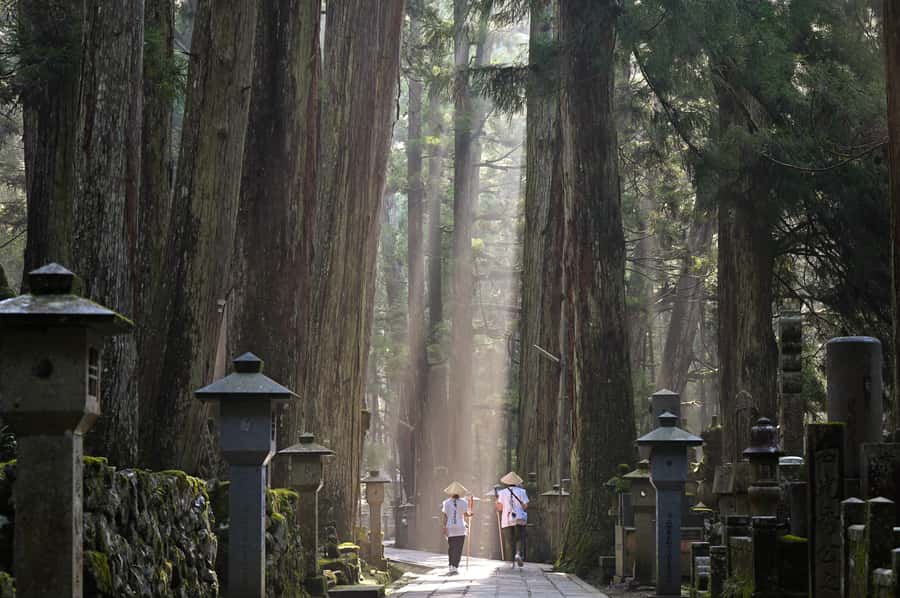Koyasan: A Mysterious Meditation Journey - Key things worth knowing before you go