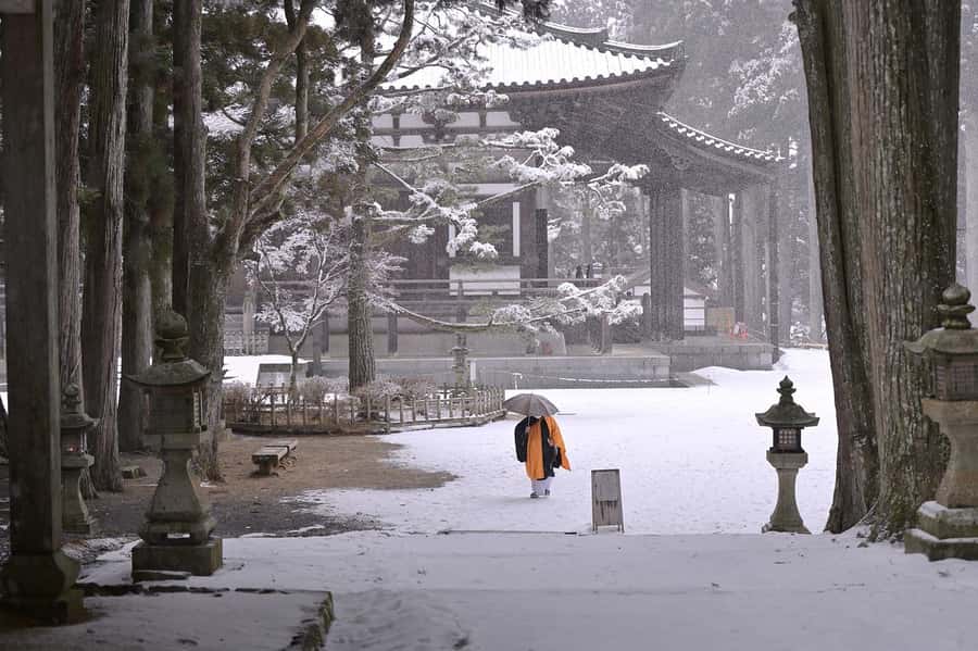 Koyasan: A Mysterious Meditation Journey - Kongobu-ji Temple: Shingon Buddhism, up close