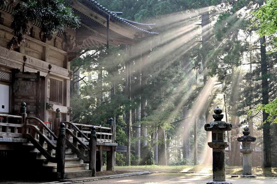 Koyasan: A Mysterious Meditation Journey - Okuno-in and Kobo Daishi: the pilgrimage atmosphere