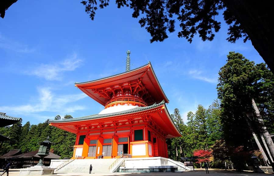 Koyasan: A Mysterious Meditation Journey - Price and value: $539 per group, up to 5 people