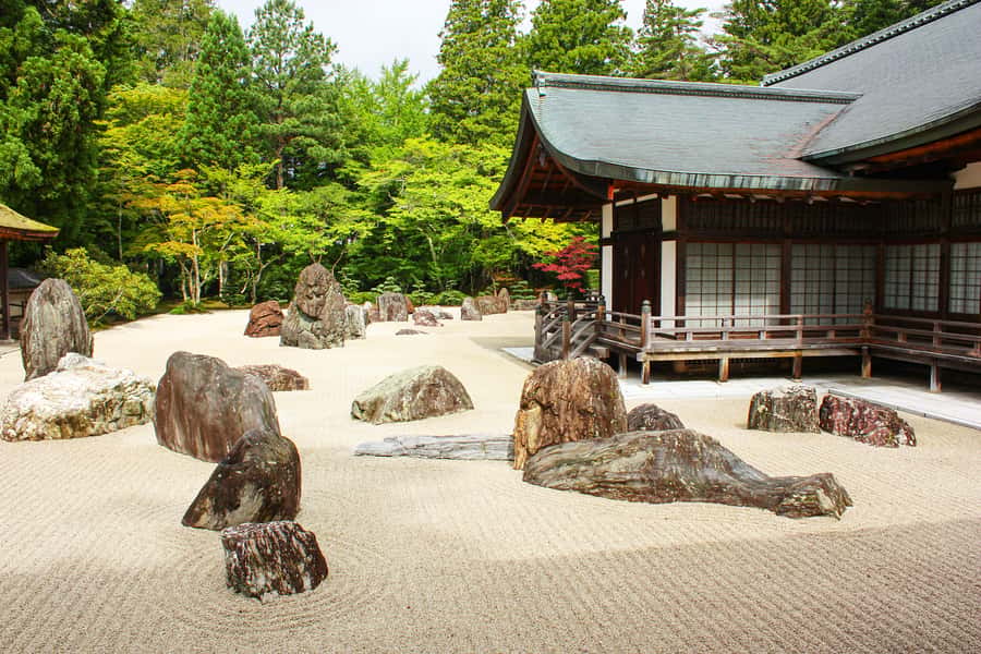 Koyasan: A Mysterious Meditation Journey - The drive from Osaka or Kyoto, and why the car setup matters
