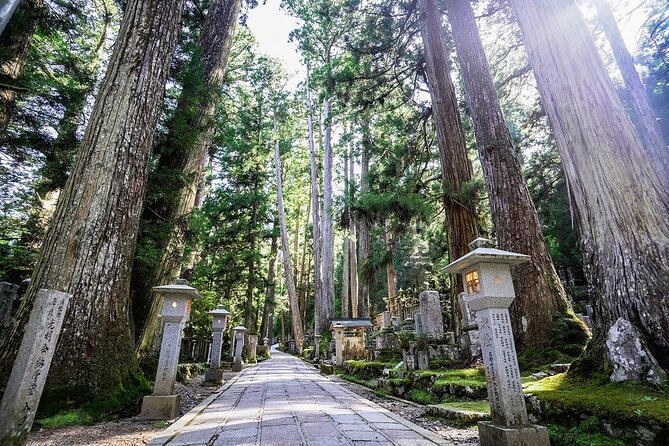 Koyasan Day Trip by Private Car from Osaka - Katsuragi-cho shrine and the sacred waterfall stop