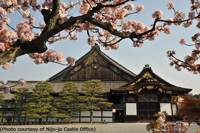 Kyoto 1 Day Tour from Osaka - Key things I’d plan around