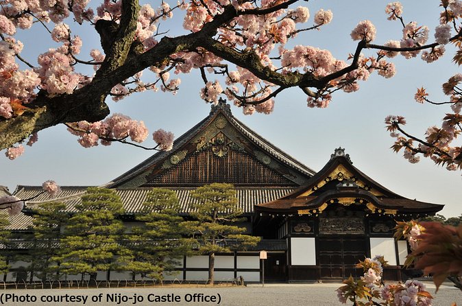 Kyoto 1 Day Tour from Osaka - Group Size, Pace, And Guide Audio: The Tradeoffs You Feel