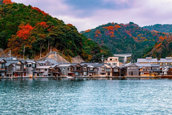 Kyoto Amanohashidate and Ine No Funaya Tour from Osaka - What the Optional Fees Are Really Buying You