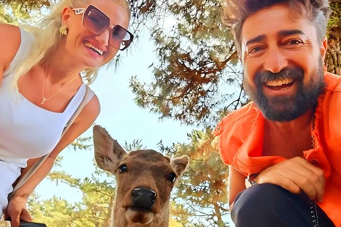 Kyoto and Nara Day Tour From Osaka with Deer Sightings - Key things to know before you go