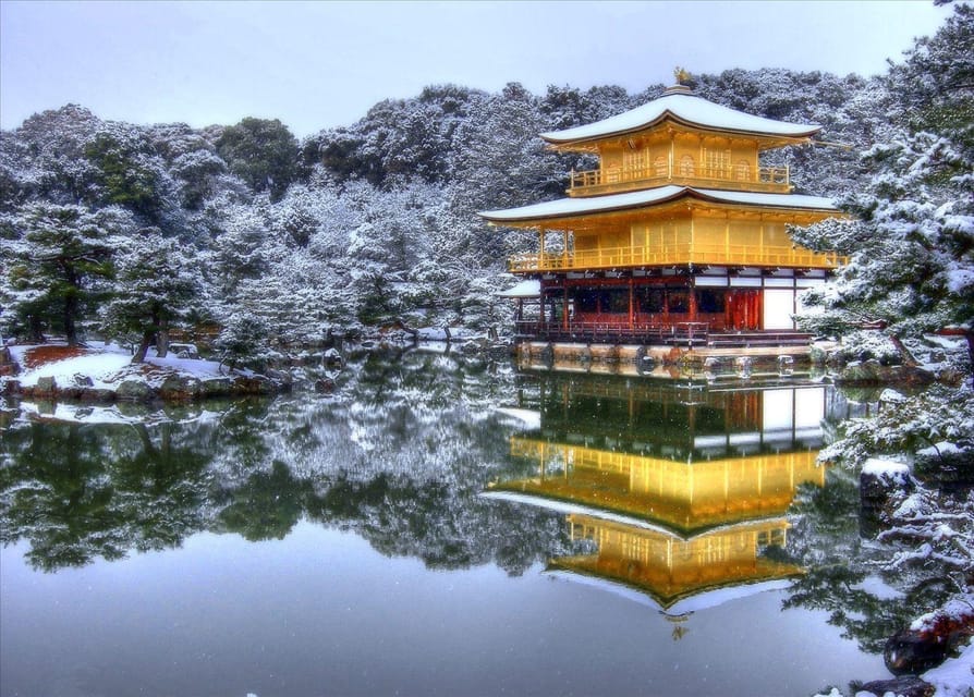 Kyoto and Nara Day Tour From Osaka with Deer Sightings - Should you book this Kyoto and Nara day tour from Osaka?