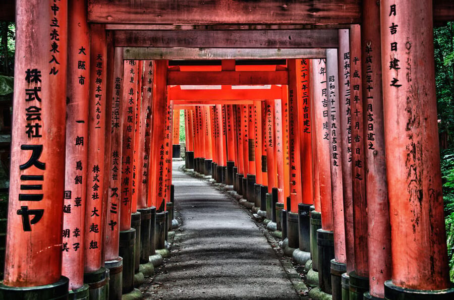 Kyoto and Nara Day Tour From Osaka with Deer Sightings - Who this tour suits best, and who should rethink it