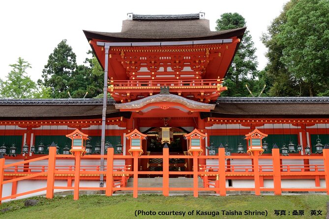 Kyoto and Nara Day Trip from Osaka - Nijo Castle: 17th-century power and the walk-through feeling