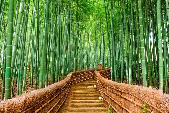 Kyoto Customized Private Car Tour - Quick hits before you go