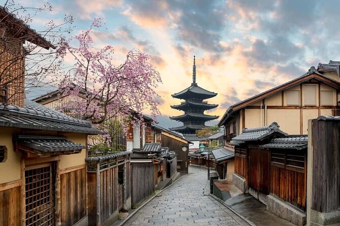 Kyoto Customized Private Car Tour - Price and logistics: what you are really paying for
