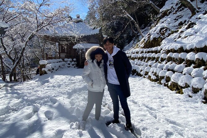 Kyoto Full Day Tour from Osaka with Licensed Guide and Vehicle - Nijo Castle, the Imperial Palace, and Kyoto’s power past
