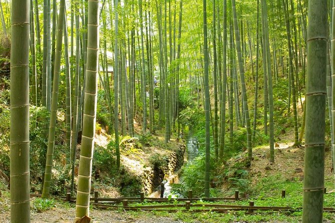Kyoto Highlights: Arashiyama & Fushimi Inari by Private Car - Gion: a short hit for first-timers and photo lovers
