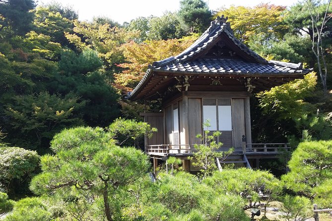 Kyoto Highlights: Arashiyama & Fushimi Inari by Private Car - Fushimi Inari-taisha: thousands of red torii gates, done privately