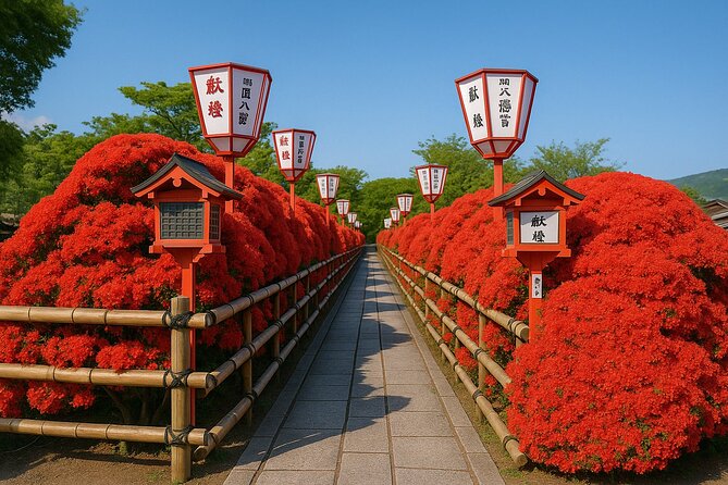 Kyoto Highlights Eastern Western Northern and Southern Routes - Key takeaways you can use right away