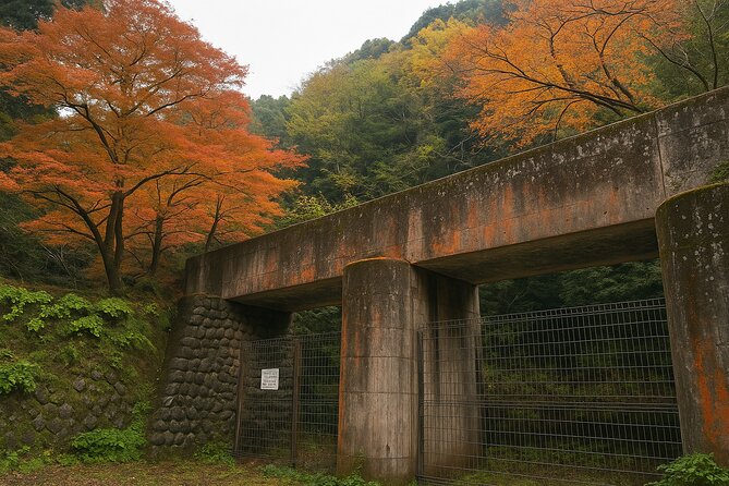 Kyoto Highlights Eastern Western Northern and Southern Routes - Private Pickup From Namba, Mobile Ticket, and Timing That Actually Works