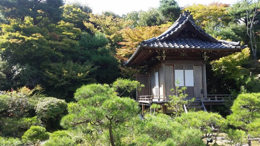 Kyoto: Immersive Arashiyama & Fushimi Inari by Private Car - Key Things That Make This Kyoto Day Worth It