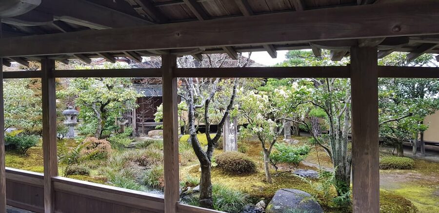 Kyoto: Immersive Arashiyama & Fushimi Inari by Private Car - Bamboo Forest Time: Photos Plus Perspective, Not Just a Crowd Line