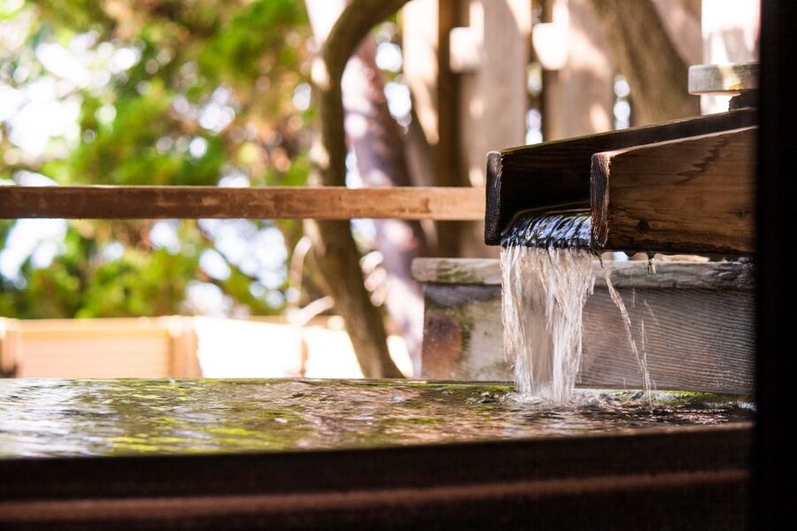 Kyoto: Immersive Arashiyama & Fushimi Inari by Private Car - Ryōan-ji Temple: Another Garden, Another Way to Look