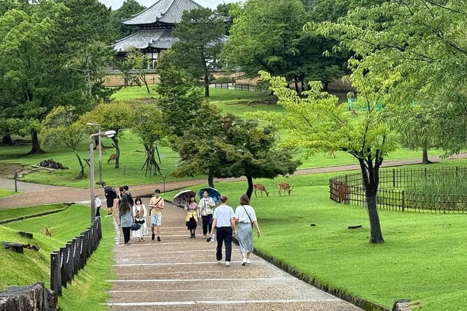 Kyoto & Nara Private customized tour with English speaking Guide - Price and value for a group of up to 6