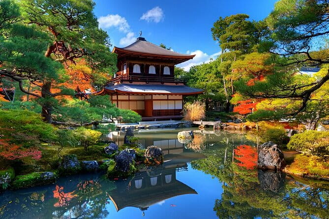 Kyoto & Nara Private Day Tour - Why Kyoto and Nara from Osaka is such a smart use of time
