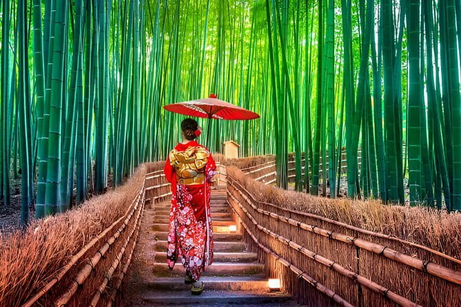 Kyoto & Nara Private Day Tour - Price and logistics: where the value really comes from