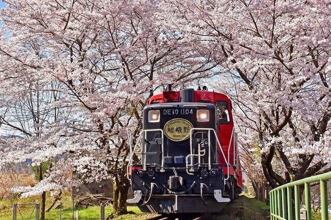 Kyoto & Nara & Uji: Full Day Sightseeing Tour from Osaka or Kyoto - Fushimi Inari’s Senbon Torii: 30,000 torii vibes in one timed block