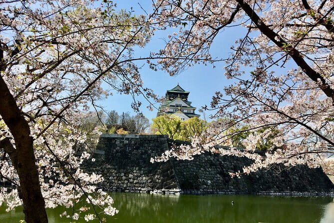 Kyoto Top Four Highlights Day Trip from Osaka or Kyoto - How the pacing feels: guided structure plus breathing room