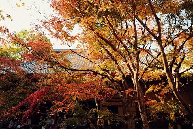 Luxury Classic Kyoto Day Tour - Private Customized Car Tour - Nishiki Market, Kyoto’s kitchen street: use 20 minutes for smart bites