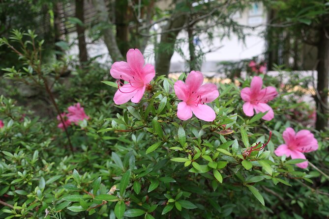 Minoh Waterfall and nature walk through the Minoh Park - The rock legend stop: a quick story break that adds texture