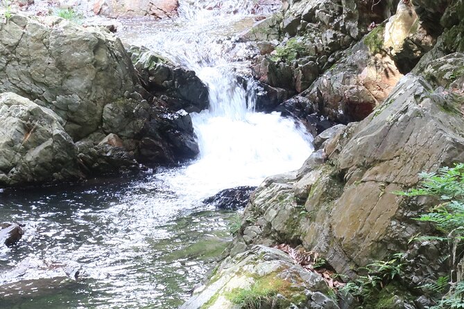Minoh Waterfall and nature walk through the Minoh Park - The 33 m Minoh Waterfall stop: why 30 minutes is enough