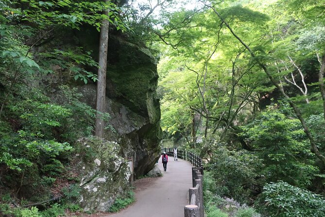 Minoh Waterfall and nature walk through the Minoh Park - Lunch in the middle of the walk: included, local, and actually useful