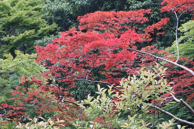 Minoh Waterfall and nature walk through the Minoh Park - Ryuanji Temple: the spiritual detour that makes the mountain hike meaningful