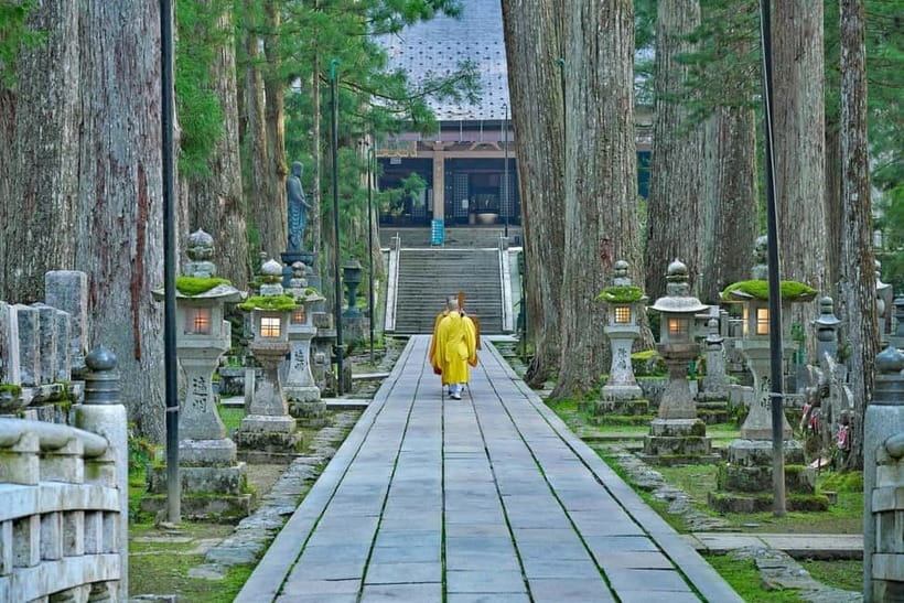 Mount Koya from Osaka: Cultural Small Group Day Tour - Key highlights you should care about