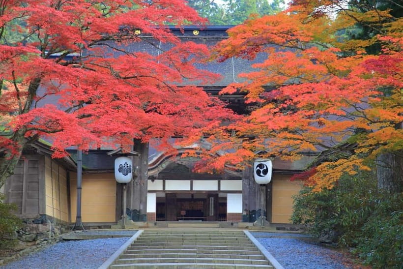Mount Koya from Osaka: Cultural Small Group Day Tour - Why Mount Koya feels different from your usual Osaka day